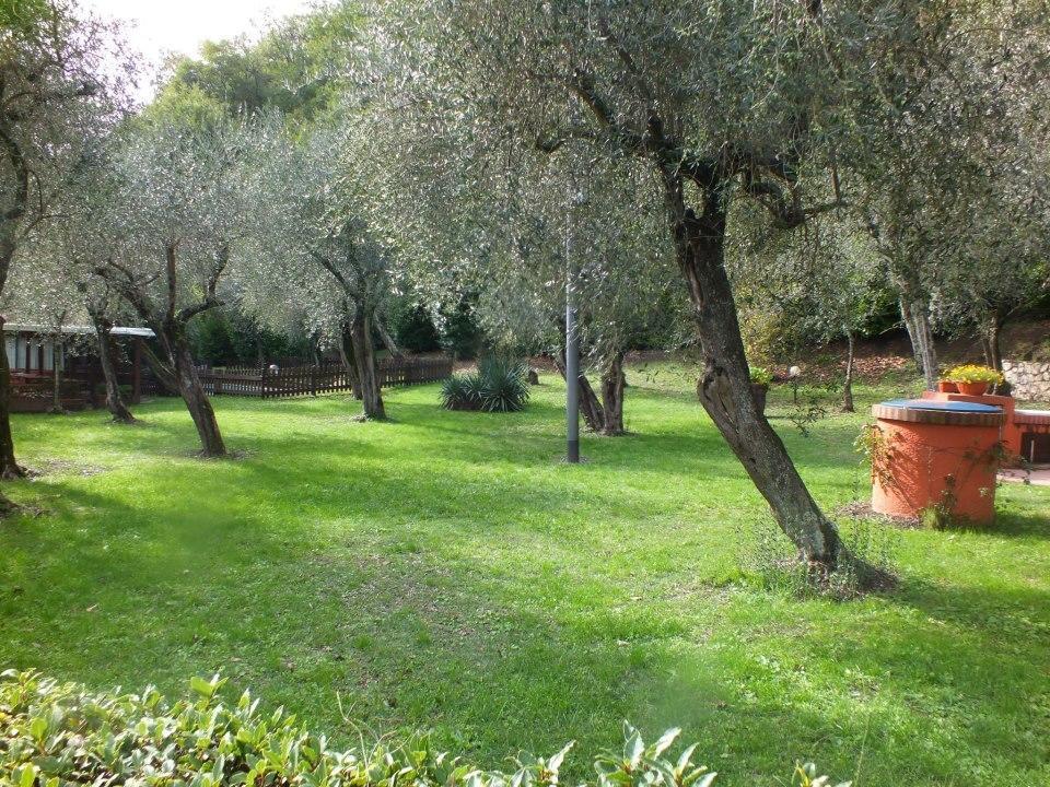 Gli Ulivi Bed & Breakfast Fosdinovo Exterior photo